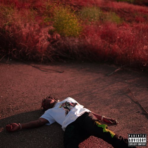 Album: Pyrex, Southside & 808 Mafia - Blood On the Hills