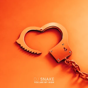 you are my high single dj snake you are my high single dj snake