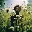 Sean leon - THE GLADE (feat. Daniel Caesar) Sean leon – THE GLADE feat. Daniel Caesar