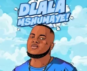 Shazmicsoul - Dlala Mshumaye Ft. CowBoii Shazmicsoul – Dlala Mshumaye Ft. CowBoii