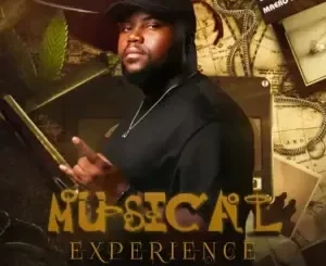 Maero Mfr Souls - Musical Experience 038 Maero Mfr Souls – Musical Experience 038