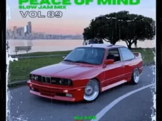 DJ Ace - Peace of Mind Vol 89 (28 July 2024 Slow Jam Mix) DJ Ace – Peace of Mind Vol 89 (28 July 2024 Slow Jam Mix)