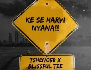 Tsheno58 - Ke se Harvi Nyana!! Tsheno58 - Dark shadows Ft. DK_Zone