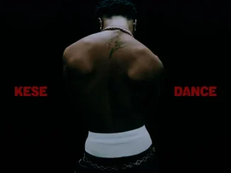 Wizkid - Kese (Dance) Wizkid Kese (Dance)