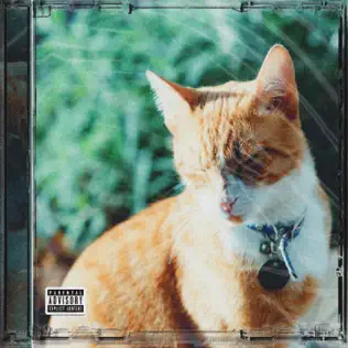 ANDRWMAARS – My Name Is Sir Nacho