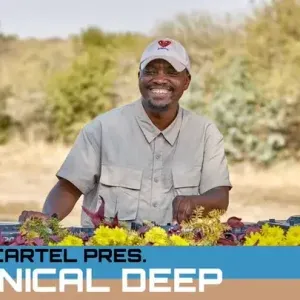 Chronical Deep – Bring On The Bass