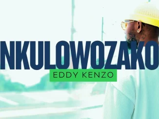 Eddy Kenzo – Nkulowozako