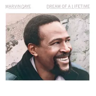 Marvin Gaye – Dream of a Lifetime