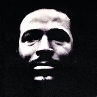 Marvin Gaye – Vulnerable