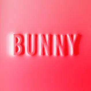 Matthew Dear – Bunny