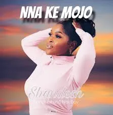 Shandesh – Nna Ke Mojo Ft. Shebeshxt & Nale Boy