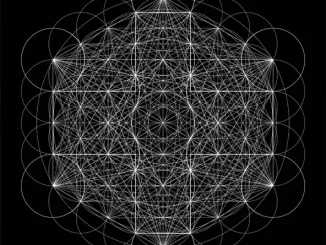 2hollis star