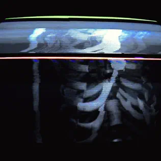 BONES – CARCASS