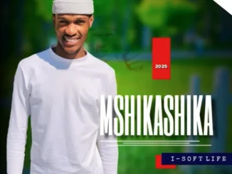 Dlamini Shika’s Mshikashika – Ayabusa Amabhingca