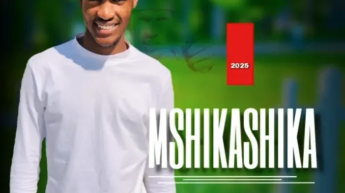 Dlamini Shika’s Mshikashika – Ayabusa Amabhingca
