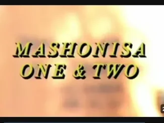 Emzini Wezinsizwa – Mashonisa One & Two