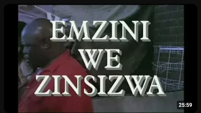 Emzini Wezinsizwa – Wheeling And Dealing