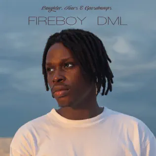 Fireboy DML – Laughter, Tears & Goosebumps
