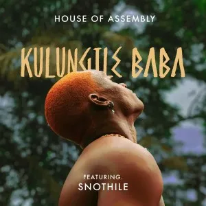 House of Assembly – Kulungile Baba