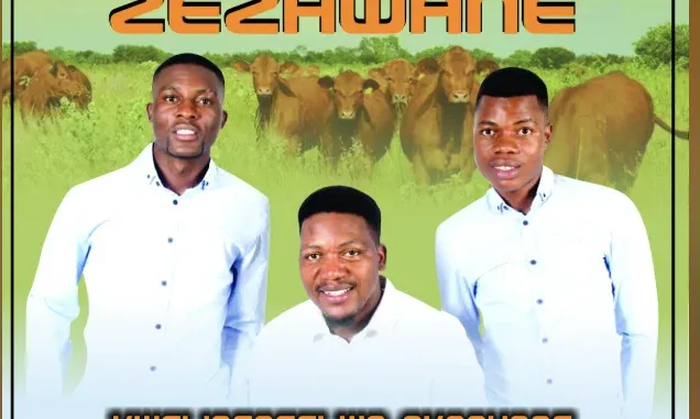 Insimbi ZeZhwane – KWELINGAFELWA NKONYANE