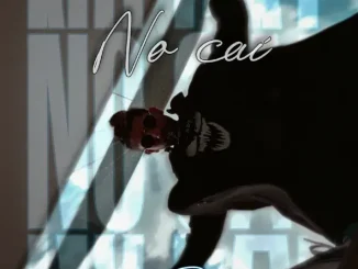 Mr Bex No caí
