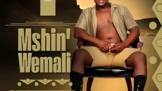 Mshinwemali – Into Enesiyezi