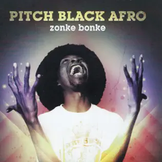 Pitch Black Afro – Zonke Bonke