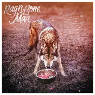 Rag'n'Bone Man – Wolves
