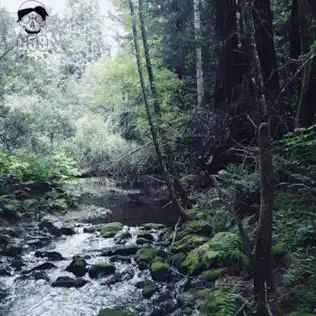 Ramirez – Meet Me Where the River Turns Grey
