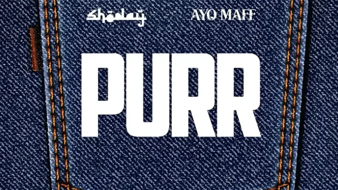 Shoday – PURR ft Ayo Maff