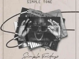 Simple Tone – Simple Fridays Vol 079 mix