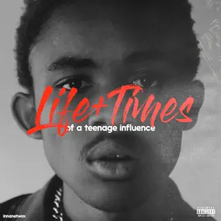 The Big Hash – Life + Times of a Teenage Influence