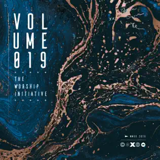 The Worship Initiative & Shane & Shane – The Worship Initiative, Vol. 19