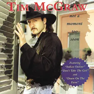 Tim McGraw – Not a Moment Too Soon