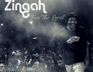 Zingah – For the Level