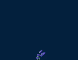 gnash – us