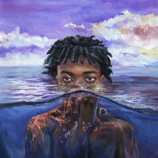 redveil – learn 2 swim