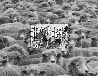 $uicideboy$ – Grey Sheep II