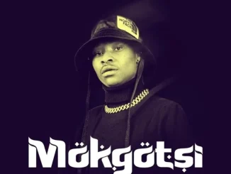 Anuza SA – MOKGOTSI ft Leon Lee, Seven Step & Friigo Hits