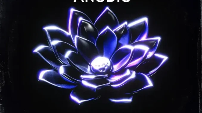 Cebow M – Anodic