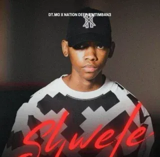 DT.MO – Shwele Ft Mtimban3 & Nation Deep