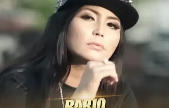 Dian Anic Barjo