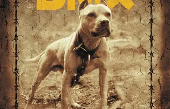 Grand Champ (Bonus Track Version) DMX