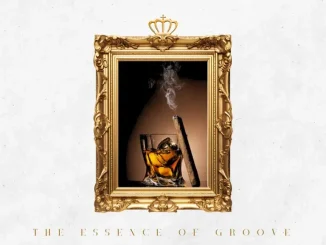 Inspector Deep – The Essence of Groove