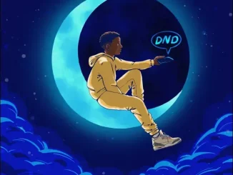 Kidwild DND