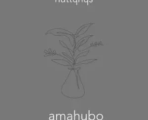 Nutty Nys – Amahubo