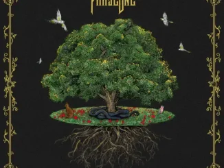 PhaseOne – Terranova
