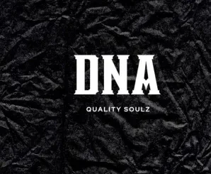 Quality Soulz – Dna