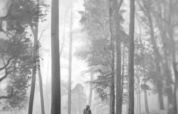 Taylor Swift folklore (deluxe version)