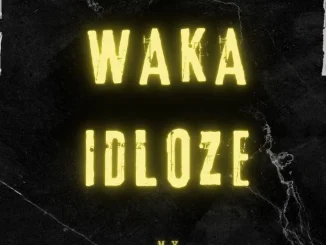 Waka idloze – My inspiration